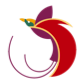 Air Niugini Logo