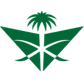 Saudia Logo